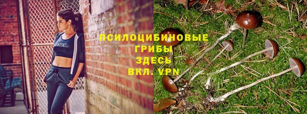 ПСИЛОЦИБИНОВЫЕ ГРИБЫ Верхний Тагил