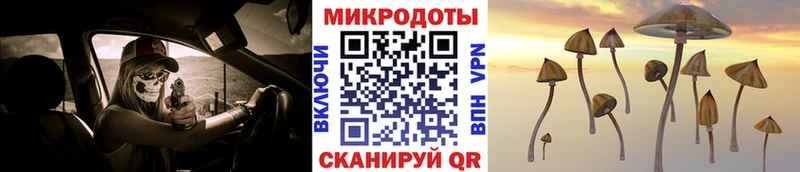 купить закладку  KRAKEN ссылки  дарк нет Telegram  Новохопёрск  Галлюциногенные грибы Psilocybe 