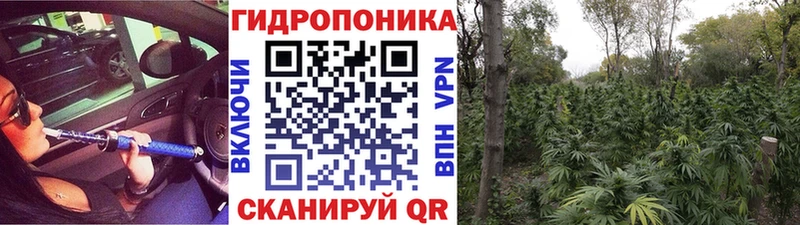 наркота Новохопёрск Бошки Шишки Bruce Banner